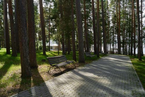 Территория